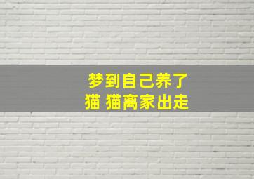 梦到自己养了猫 猫离家出走